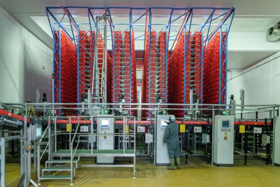 Thermal Imaging Boosts Fire Safety at Meat Plant